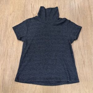 Brandy Melville John Galt Turtleneck Short Sleeve Sweater Cropped